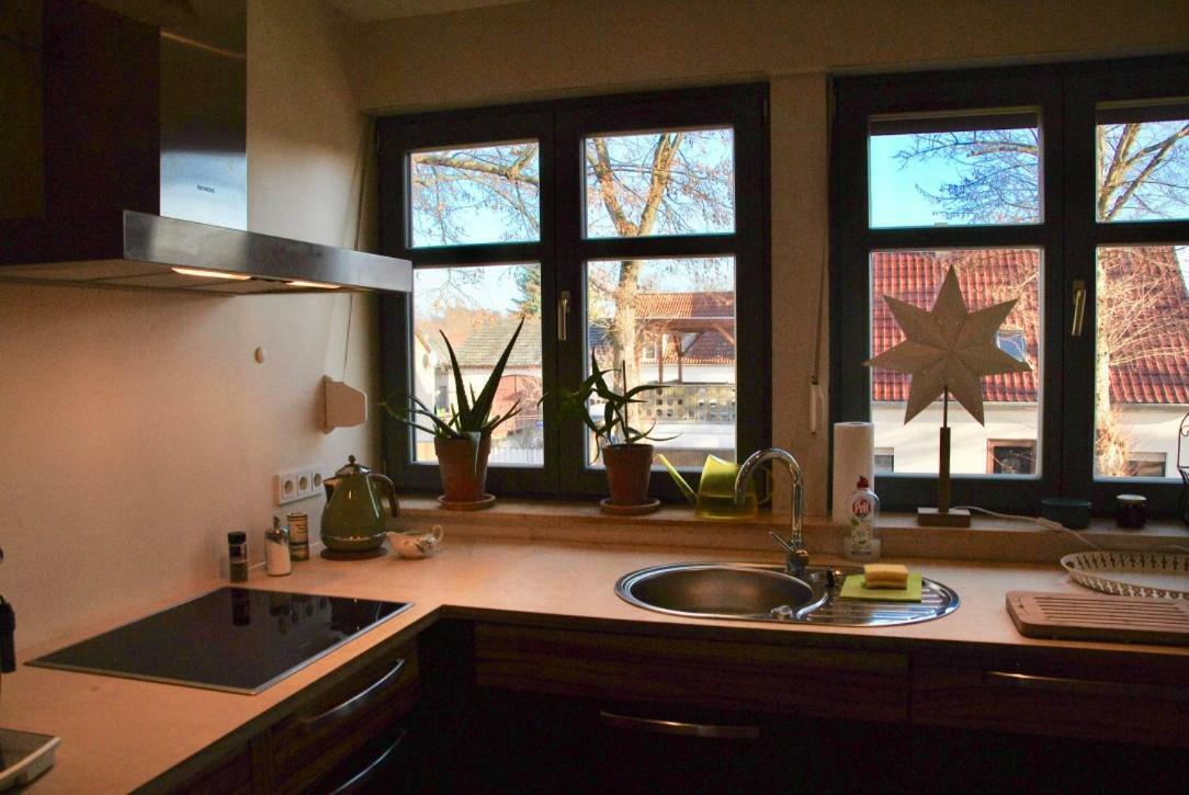 Kranichhof - Studio, Loft & Atelier Цосен Екстериор снимка